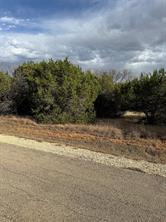 32039 Dove Trail - Photo 2