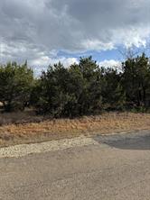 32039 Dove Trail - Photo 3