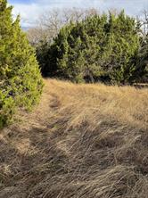 32039 Dove Trail - Photo 4