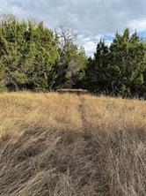 32039 Dove Trail - Photo 5