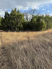 32039 Dove Trail - Photo 6