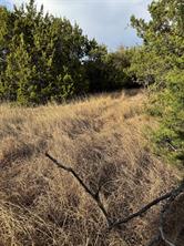 32039 Dove Trail - Photo 8