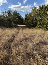 32039 Dove Trail - Photo 9