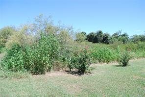 22210 Field Street - Photo 4