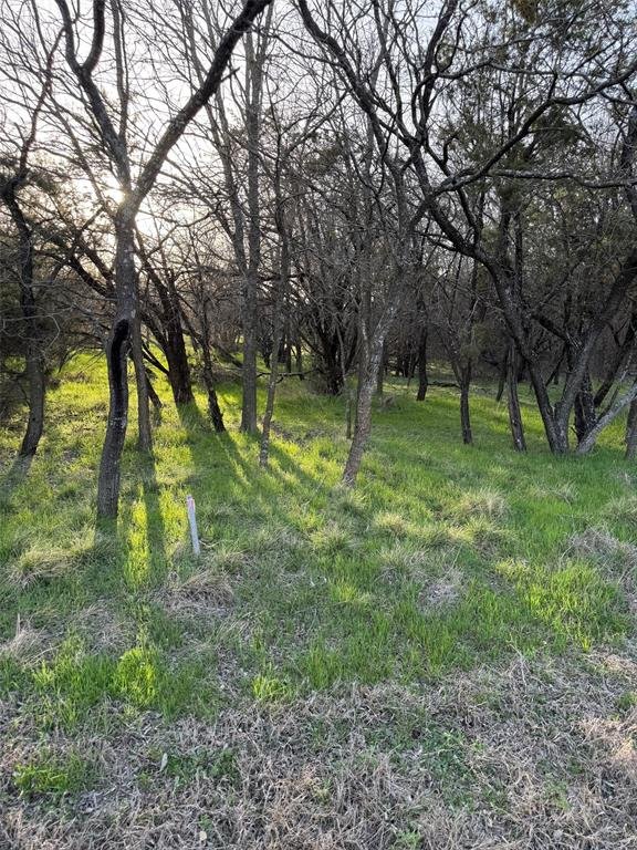 12147 Trailwood Drive
