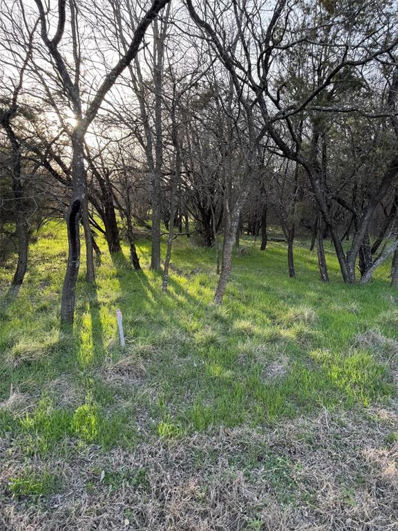 12147 Trailwood Drive - Photo 1