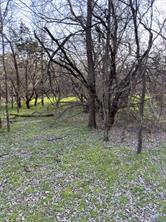 12147 Trailwood Drive - Photo 12