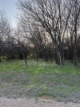 12147 Trailwood Drive - Photo 2