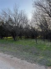 12147 Trailwood Drive - Photo 3