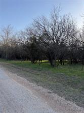 12147 Trailwood Drive - Photo 4