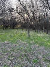 12147 Trailwood Drive - Photo 6
