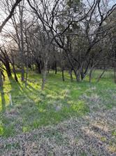 12147 Trailwood Drive - Photo 7