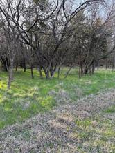 12147 Trailwood Drive - Photo 8