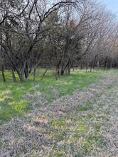 12147 Trailwood Drive - Photo 9