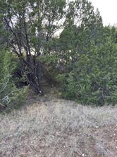 22295 Westmeadow Drive - Photo 2