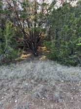 12117 Oak Dale Drive - Photo 6
