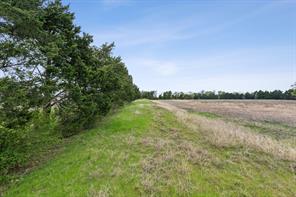 TBD Old Ridge Road - Photo 12