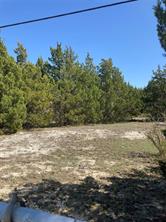 3710 Telephone Road - Photo 10