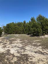 3710 Telephone Road - Photo 13
