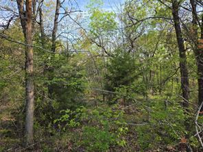 Lot 97 Tonkawa Trail - Photo 12