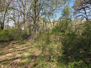 Lot 97 Tonkawa Trail - Photo 16