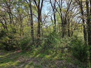 Lot 97 Tonkawa Trail - Photo 23