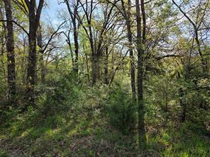 Lot 97 Tonkawa Trail - Photo 29