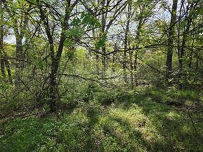 Lot 97 Tonkawa Trail - Photo 33