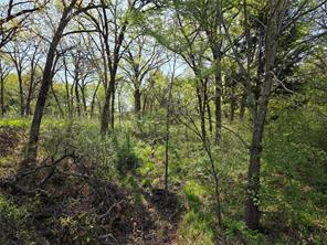 Lot 97 Tonkawa Trail - Photo 34