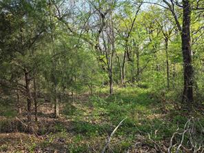 Lot 97 Tonkawa Trail - Photo 7