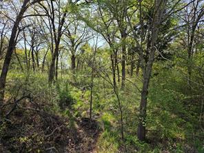 Lot 97 Tonkawa Trail - Photo 8
