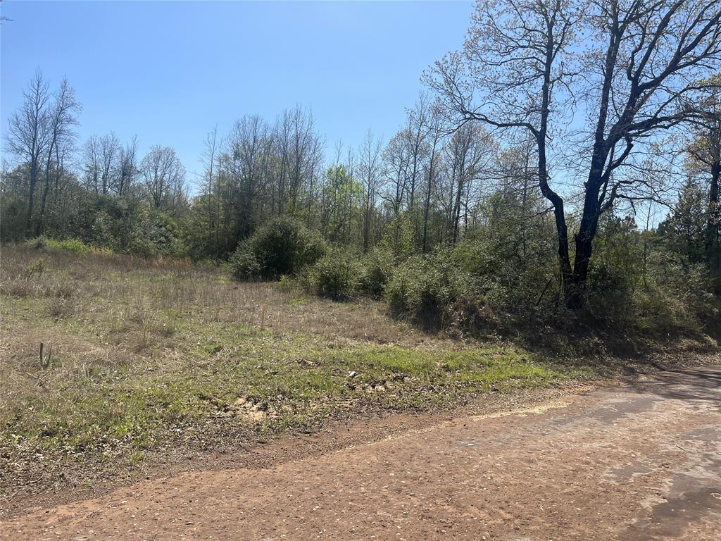 TBD CR 124 - Photo 1