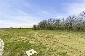 409 Meadowlands Drive - Photo 5
