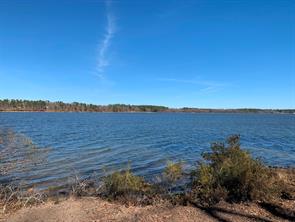 3266 Shadow Pine Drive - Photo 2