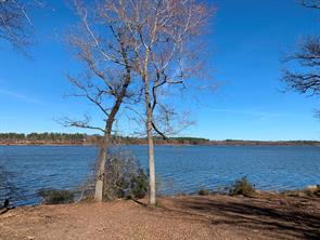 3266 Shadow Pine Drive - Photo 3