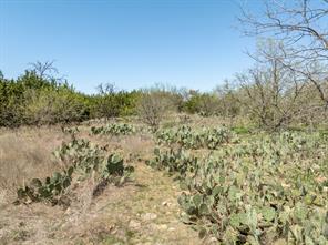 5448 County Road 182 - Photo 14