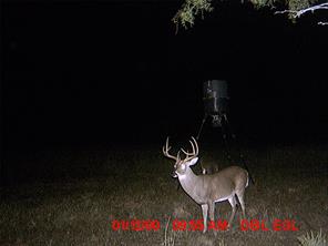 5448 County Road 182 - Photo 27