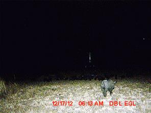 5448 County Road 182 - Photo 28