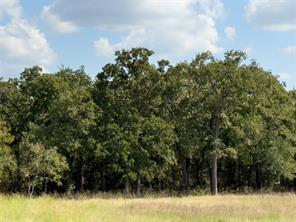 330 Rolling Ranch Boulevard - Photo 3