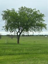 TBD -4 Fm 1198 - Photo 3