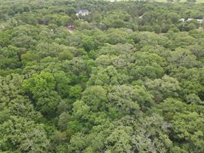 Lot 92 County Road 2255 - Photo 11