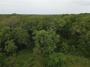 Lot 92 County Road 2255 - Photo 6