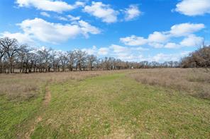 4363 Acton Highway - Photo 22