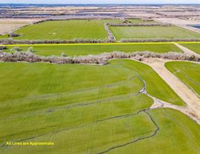 119 Ac County Road 1057 Road - Photo 5
