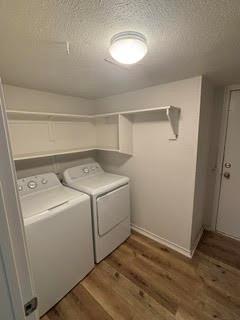 6026 Stoneybrook Drive - Photo 12