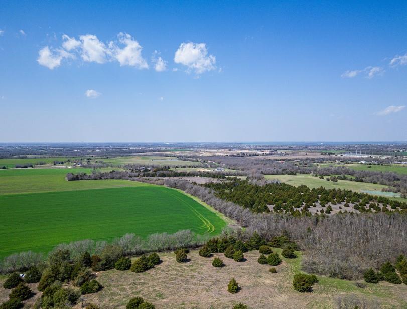 TBD FM 2755 Highway - Photo 1