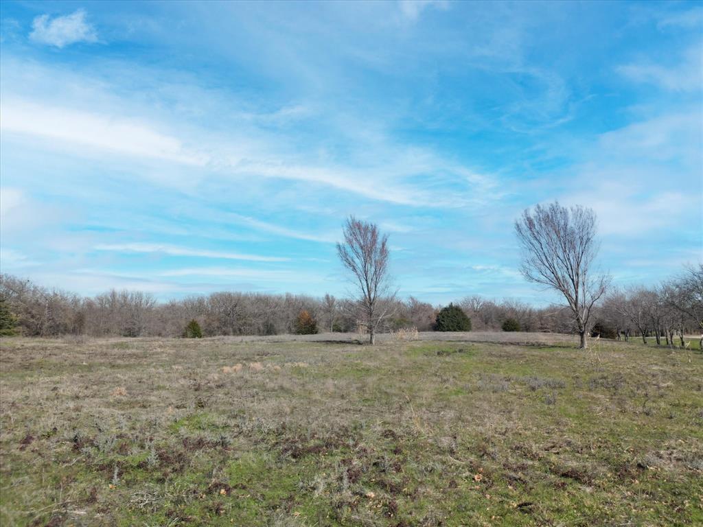 TBD Joe Allen Road - Photo 4