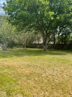 1503 Lands End Street - Photo 10