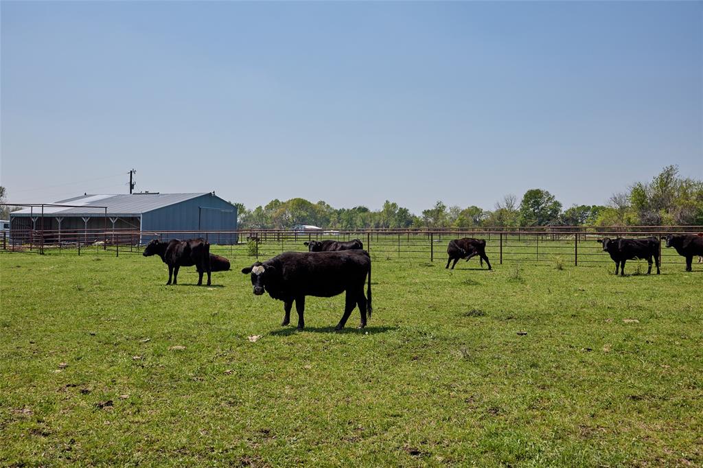 0000 County Road 5040 - Photo 17