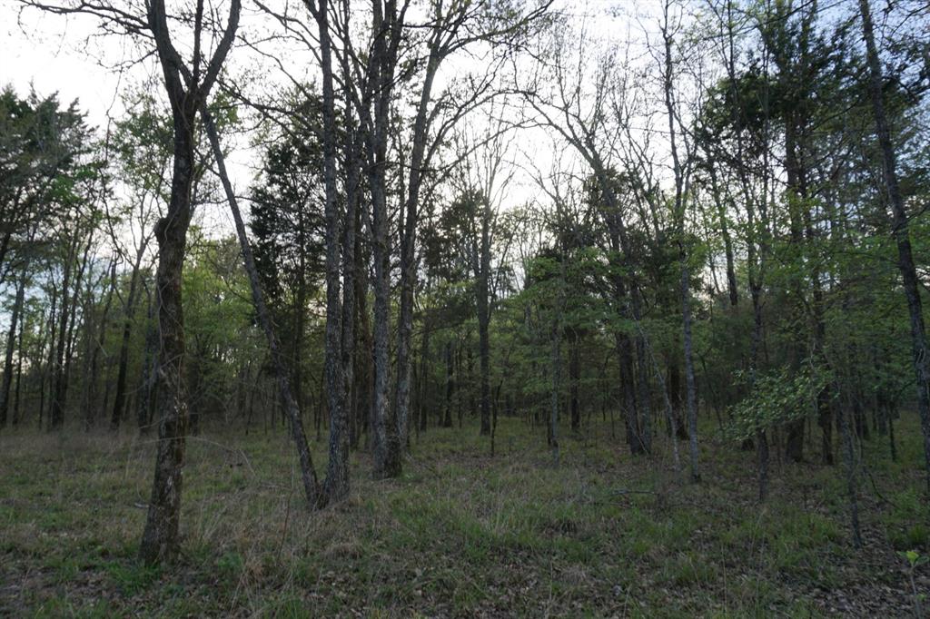 01 Cr-1403 - Photo 13